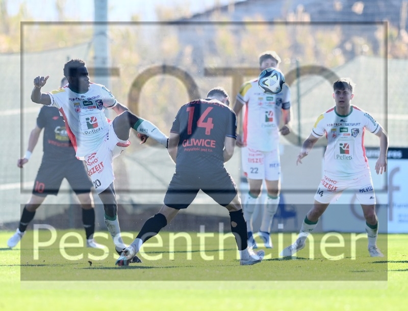 RZ Pellets WAC Testspiel (24.01.2204)_4