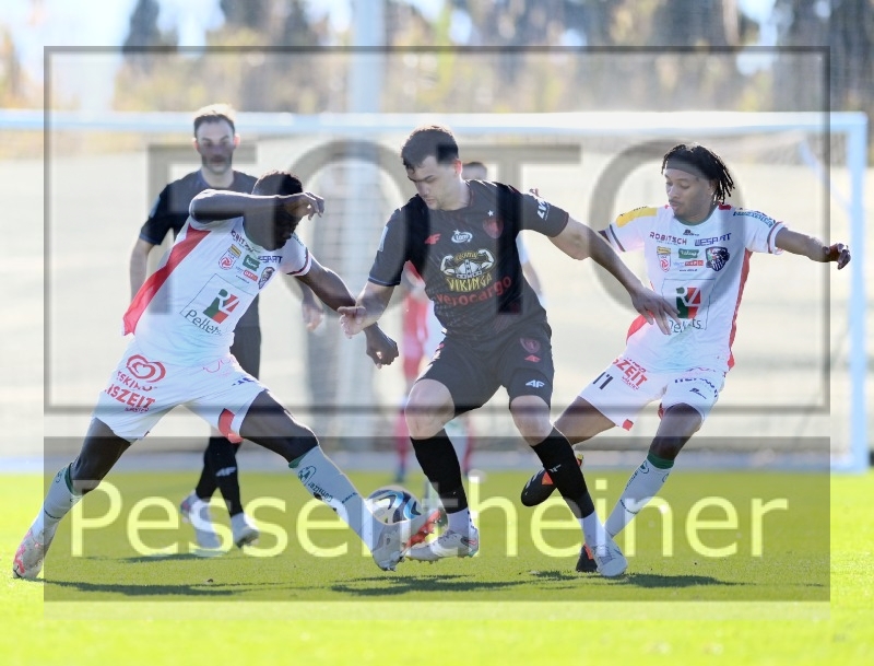 RZ Pellets WAC Testspiel (24.01.2204)_5
