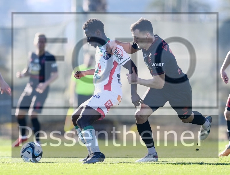 RZ Pellets WAC Testspiel (24.01.2204)_7