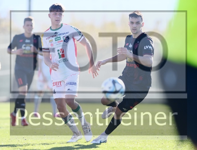 RZ Pellets WAC Testspiel (24.01.2204)_11