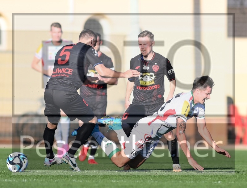 RZ Pellets WAC Testspiel (24.01.2204)_12