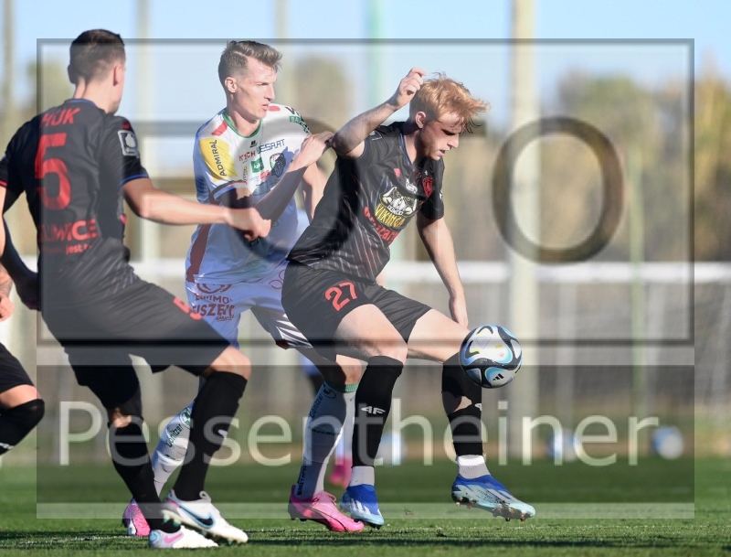 RZ Pellets WAC Testspiel (24.01.2204)_14