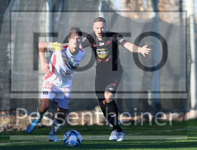 RZ Pellets WAC Testspiel (24.01.2204)_15