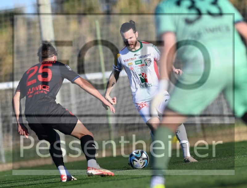 RZ Pellets WAC Testspiel (24.01.2204)_18