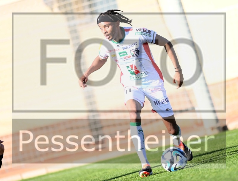 RZ Pellets WAC Testspiel (24.01.2024)_2