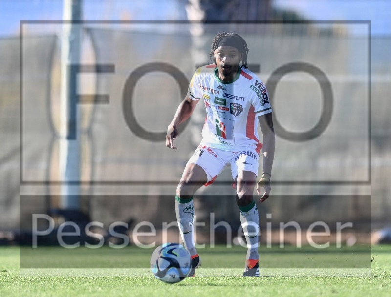 RZ Pellets WAC Testspiel (24.01.2024)_15