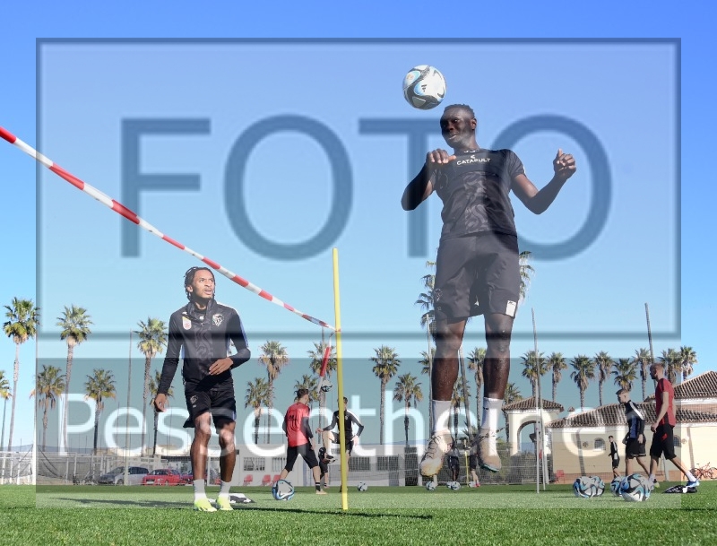 Training (25.01.2024)_24