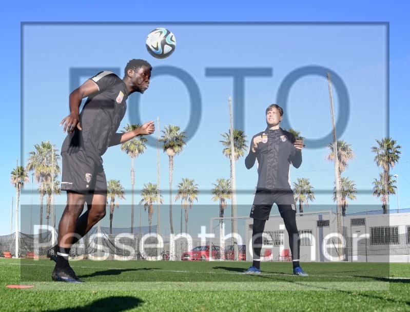 Training (25.01.2024)_1