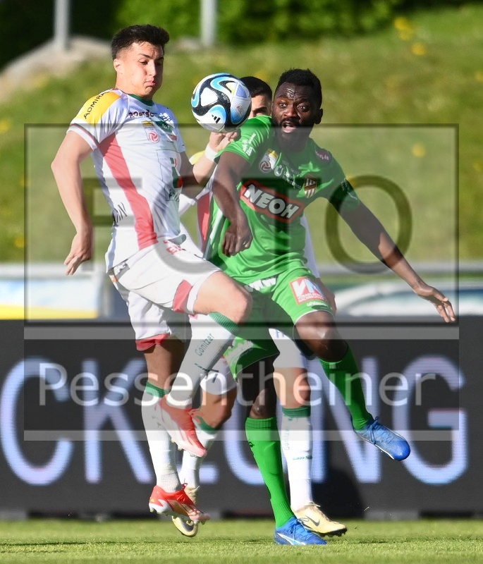 RZ Pellets WAC - SC Austria Lustenau (20.04.2024)_1