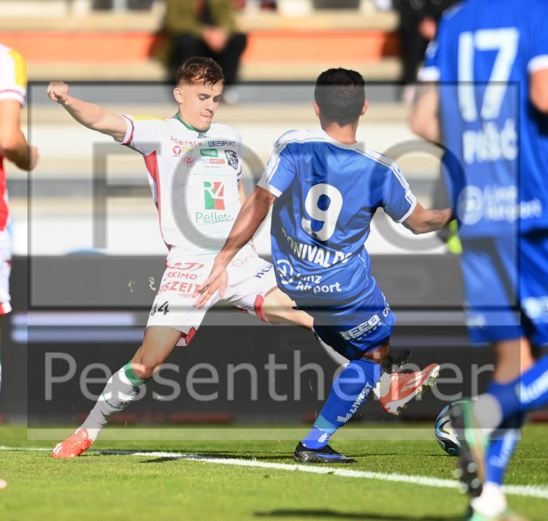 RZ Pellets WAC - Blau Weiß Linz (27.04.2024)_12