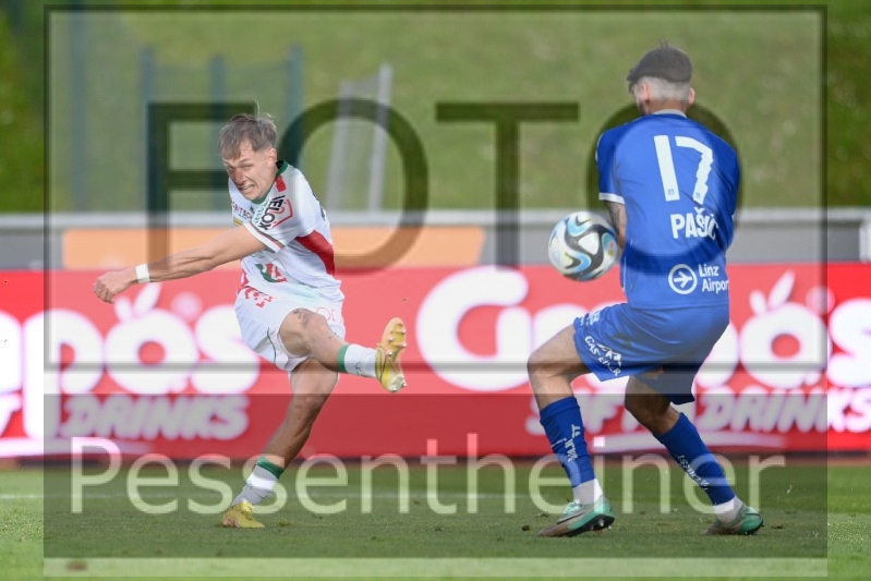  RZ Pellets WAC - Blau Weiß Linz (27.04.2024)_31