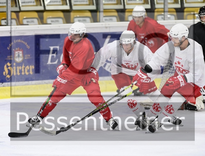 EC-KAC Training (02.08.2021)_10