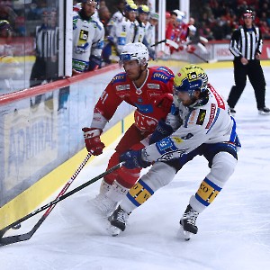 EC-KAC - EC VSV (05.11.2023)_15