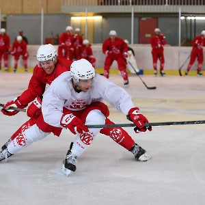1. Training (06.08.2023)_2