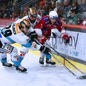 EC- KAC - Black Wings Linz (06.01.2024)_11