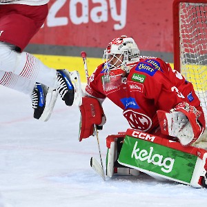 EC-KAC - EC Red Bull Salzburg (19.11.2023)_5