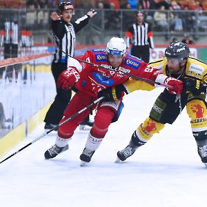 EC-KAC  HC Pustertal Wölfe (24.11.2023)_10