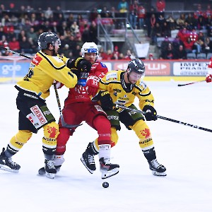 EC-KAC  HC Pustertal Wölfe (24.11.2023)_10