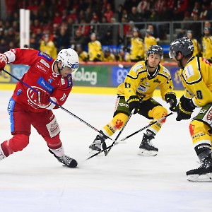 EC-KAC  HC Pustertal Wölfe (24.11.2023)_7