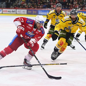 EC-KAC  HC Pustertal Wölfe (24.11.2023)_8