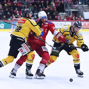 EC-KAC  HC Pustertal Wölfe (24.11.2023)_9