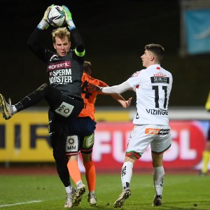 RZ Pellets WAC - TSV Hartberg (23.01.2021)_12