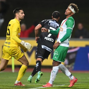 RZ Pellets WAC - SK Rapid Wien (07.11.2021)_54