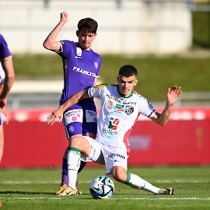 RZ Pellets WAC - FK Austria Wien (13.04.2024)_13
