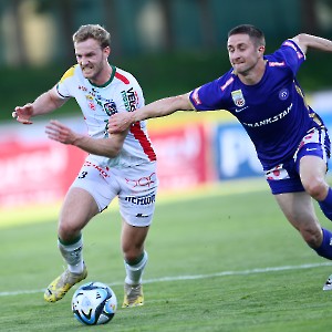 RZ Pellets WAC - FK Austria Wien (13.04.2024)_14