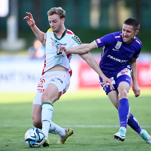 RZ Pellets WAC - FK Austria Wien (13.04.2024)_15