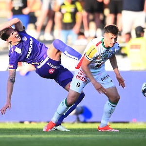RZ Pellets WAC - FK Austria Wien (13.04.2024)_26