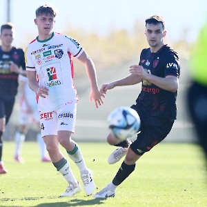 RZ Pellets WAC Testspiel (24.01.2204)_11